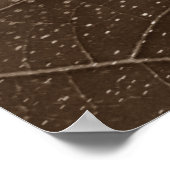 flor de papel poster (Hoek)