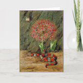 Flor Imperiale Coral Snake en Spider Kaart (Voorkant)