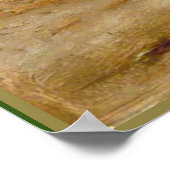 Flor Imperiale Coral Snake en Spider Poster (Hoek)