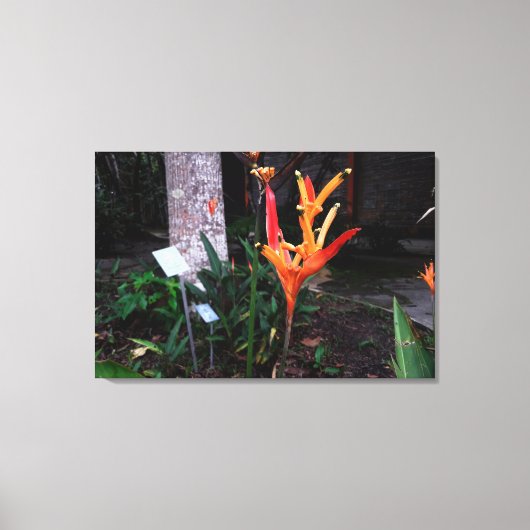 flor laranjada canvas afdruk (Voorkant)