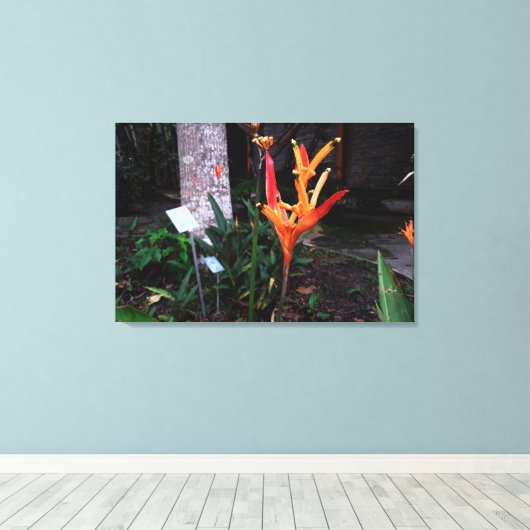 flor laranjada canvas afdruk (Insitu (Houten vloer))