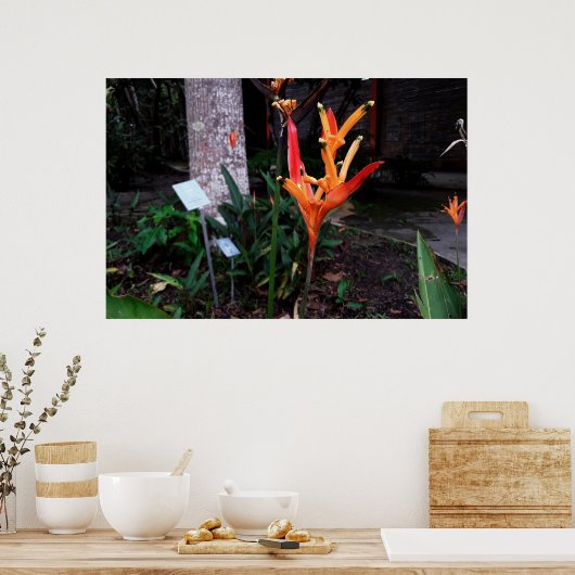 flor laranjada poster (Keuken)