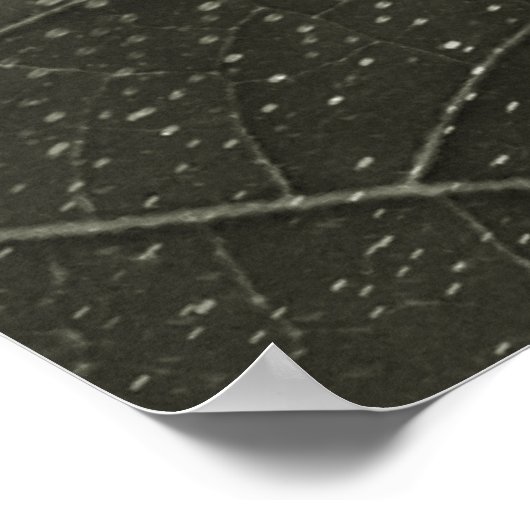 flor morta poster (Hoek)