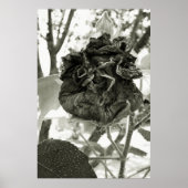 flor morta poster (Voorkant)