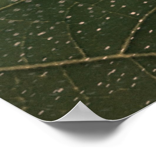 flor mortal poster (Hoek)