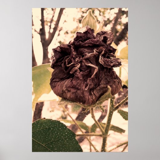 flor mortal poster (Voorkant)