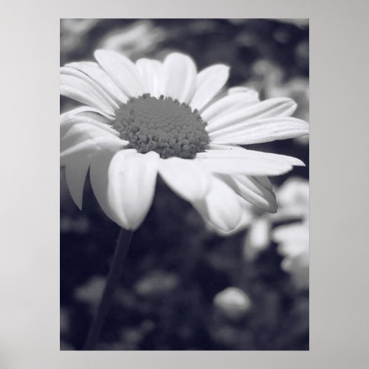 Flor Poster (Voorkant)