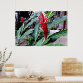 flor vermelha poster (Keuken)