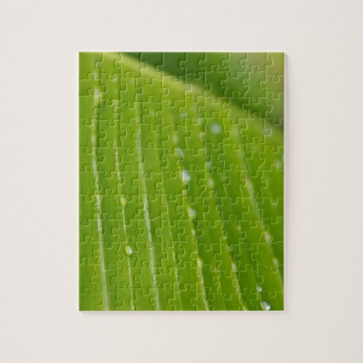 Flora Dominica 2 Legpuzzel (Verticaal)