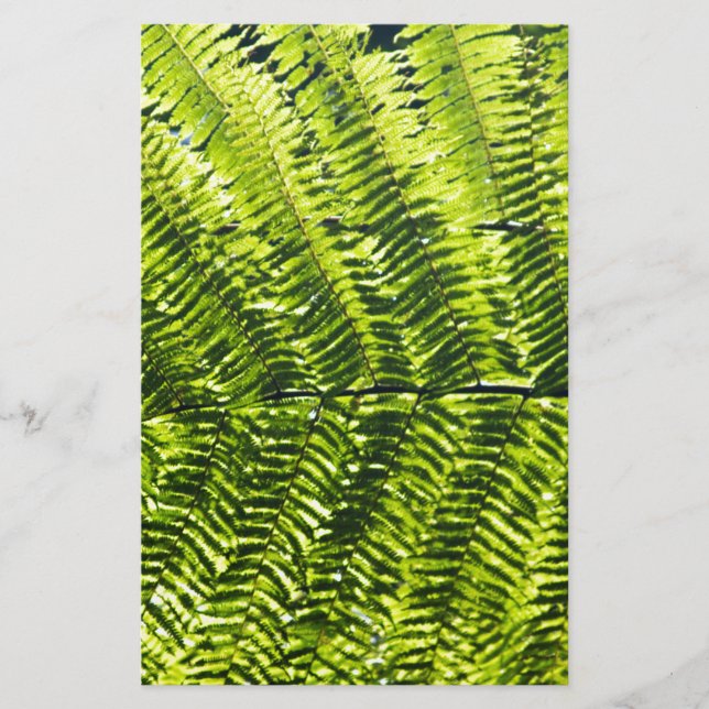 Flora Dominica 5 (Voorkant)