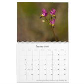 Flora en Fauna 2025 Kalender (Jan 2026)