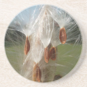 flora en fauna en moerassen drijvend.jpg zandsteen onderzetter