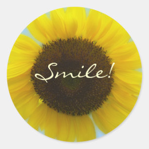 Flora Foto - Helder en vrolijke zonnebloem Ronde Sticker