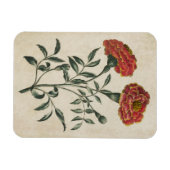  flora Franse marigold Magnet Magneet (Horizontaal)