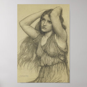 Flora met Long Hair Poster