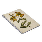 flora sint-janskruid notitieboek (Rechterzijde)