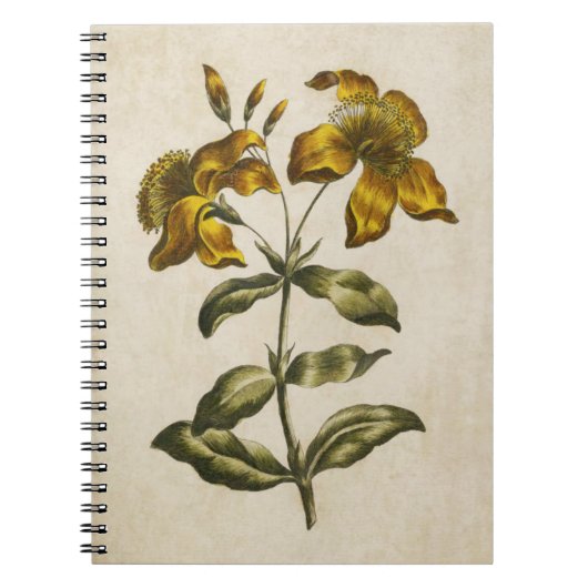 flora sint-janskruid notitieboek (Voorkant)