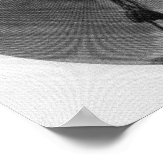 Flora Thompson Poster (Hoek)