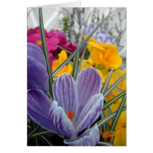 flora voor lente #3