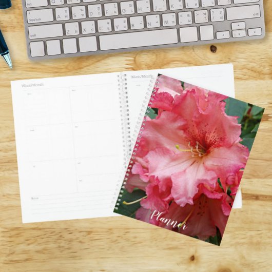 Floraison de Rhododendron rose