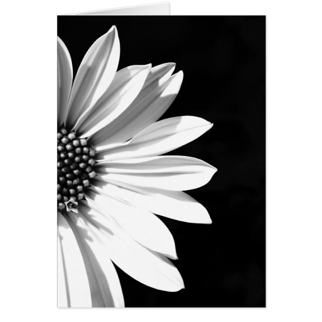 floral (Devant)