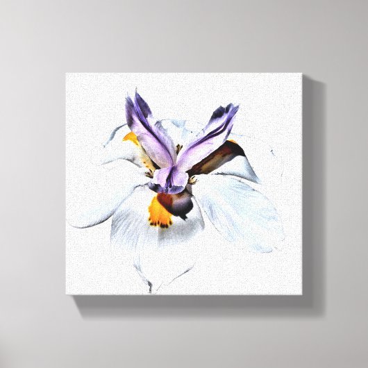 Floral African Iris Canvas Afdruk (Voorkant)