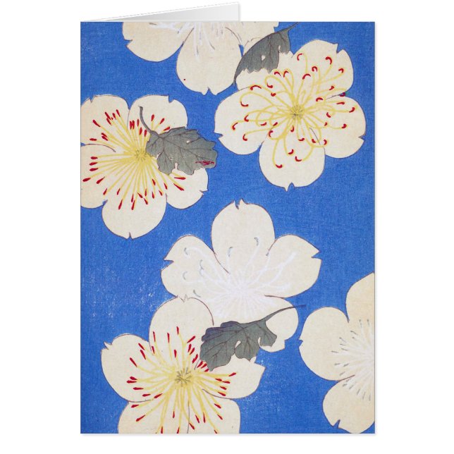  Floral Art (Voorkant)