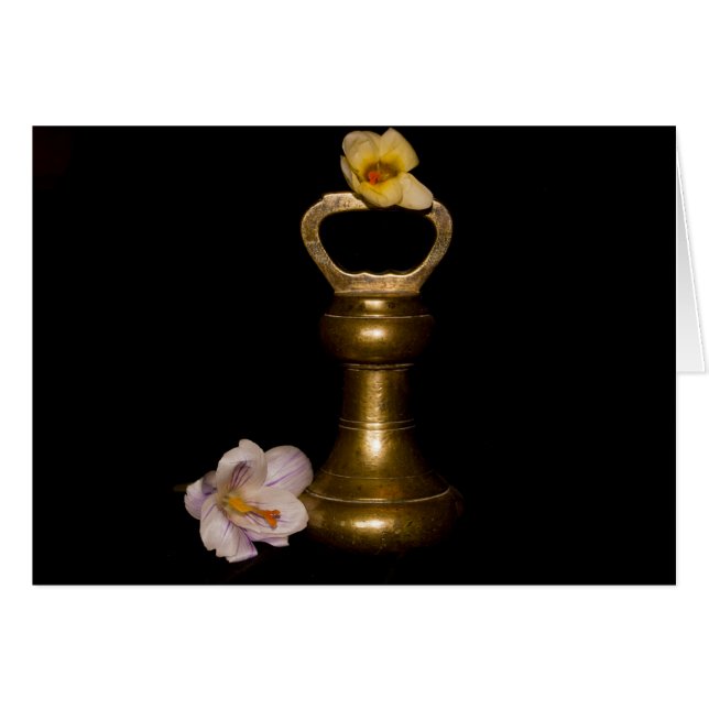 Floral Attraction (Voorkant Horizontaal)