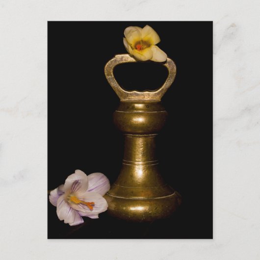 Floral Attraction Briefkaart (Voorkant)