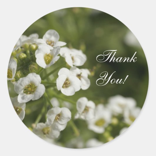 Floral bedankt jullie kiezers ronde sticker (Voorkant)