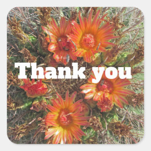 Floral bedankt voor de Oranje Cactus Flowers Vierkante Sticker