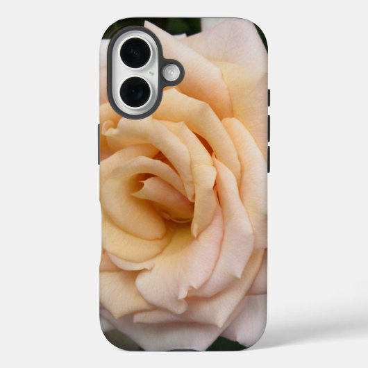 Floral Blackberry audacieux coque avec Rose romant (Verso)