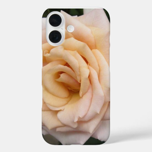 Floral Blackberry audacieux coque avec Rose romant (Verso)
