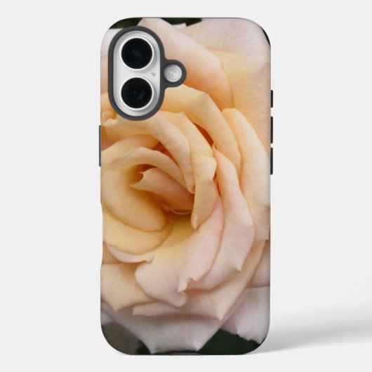 Floral Blackberry audacieux coque avec Rose romant (Verso)