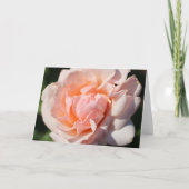 Floral Blanc À L'Intérieur De Joli Peach Peach Élé (Devant)