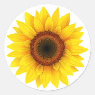 Floral, bloemkool, tuin, Herfst van vrouwen, zonne Ronde Sticker