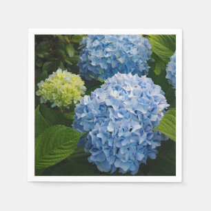 Floral Blue Hydrangea Foto Servet