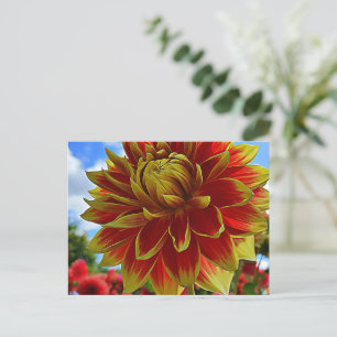 Floral Briefkaart