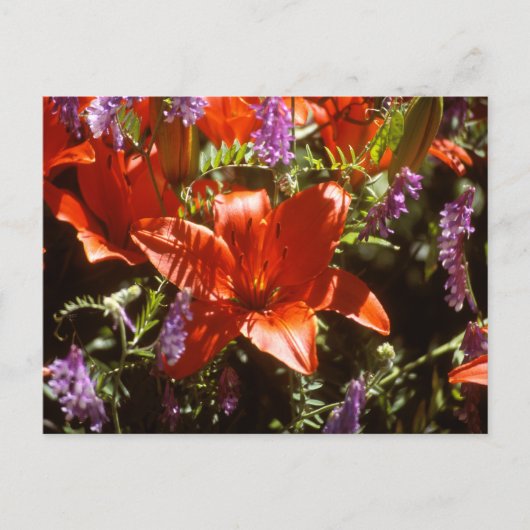 Floral Briefkaart (Voorkant)