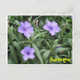 Floral Briefkaart
