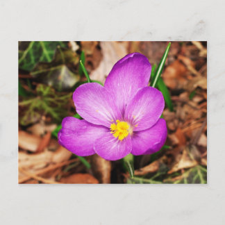 Floral Briefkaart