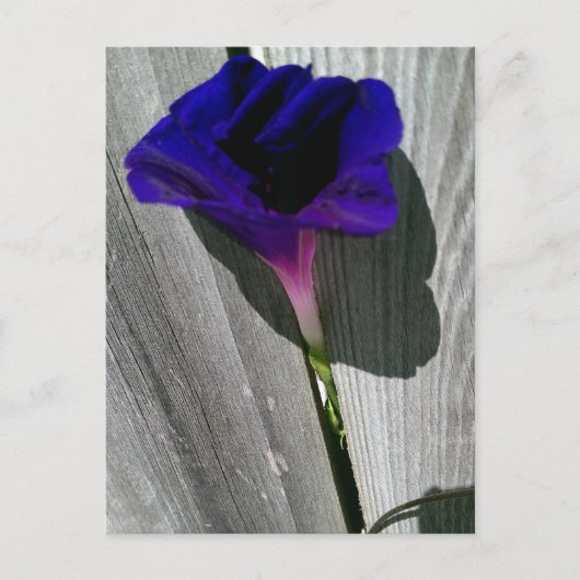  Floral Briefkaart (Voorkant)