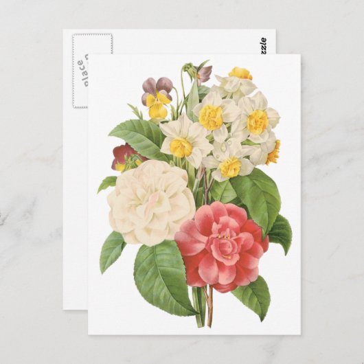 Floral Camelia Daffodil Flowers door Redoute Briefkaart (Voorkant / Achterkant)