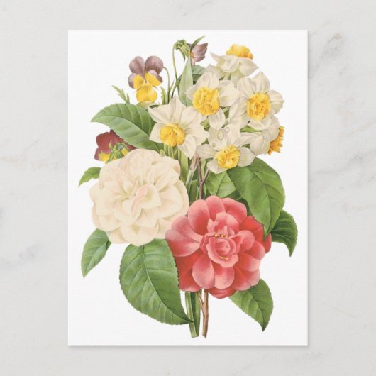 Floral Camelia Daffodil Flowers door Redoute Briefkaart (Voorkant)