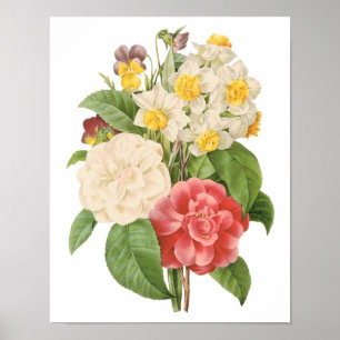 Floral Camelia Daffodil Flowers door Redoute Poster