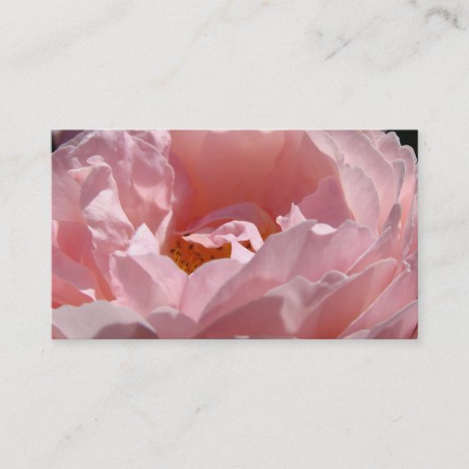 Floral Carte de visite Rose Rose (Devant)