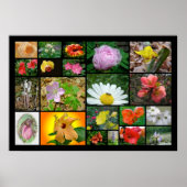 Floral Collage #2 Poster (Voorkant)