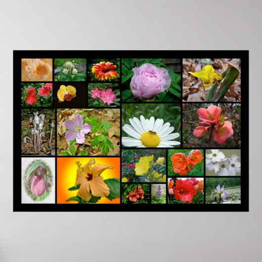 Floral Collage #2 Poster (Voorkant)
