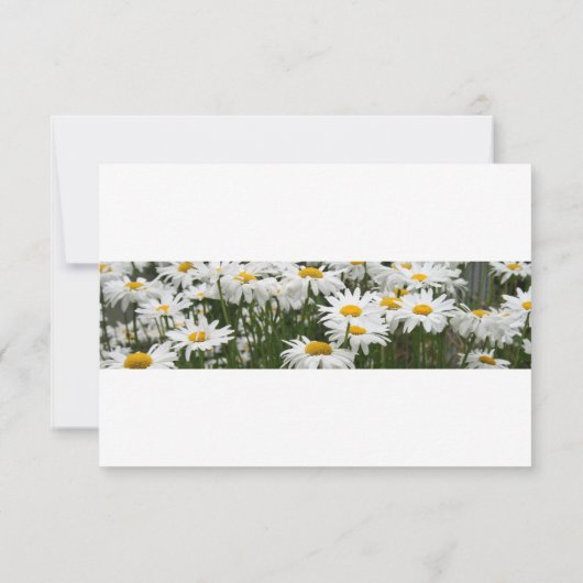 Floral daisies behalve de datumuitnodiging save the date (Achterkant)