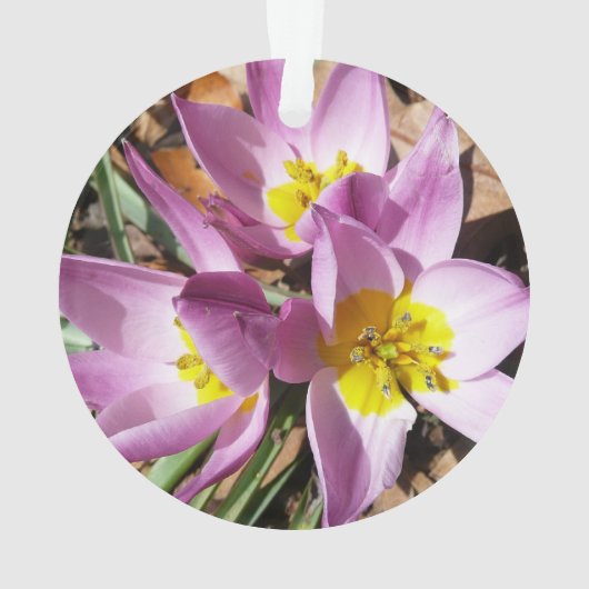 Floral de Pink (dos)